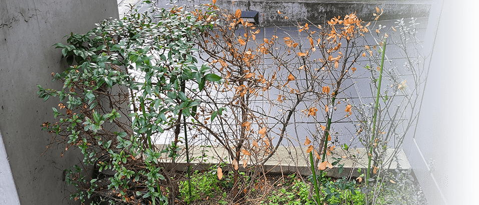 こんなお悩みありませんか？