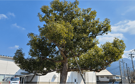 「提案力」には自信があります