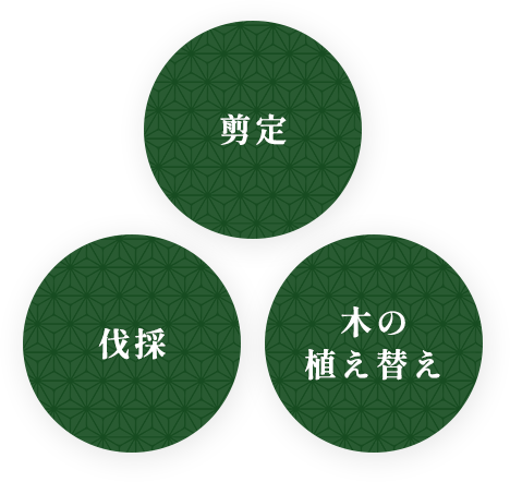 剪定 伐採 木の植え替え