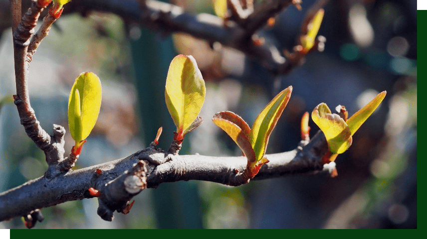とりあえず「自分でやってみる」ことを大切に。