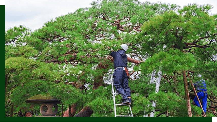 どれだけ「効率良く」作業できるかが楽しい。