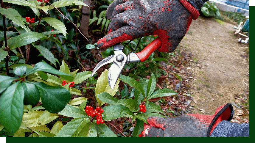 一から「しっかり」教えます。